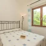 Nicoletta By Interhome * Palau